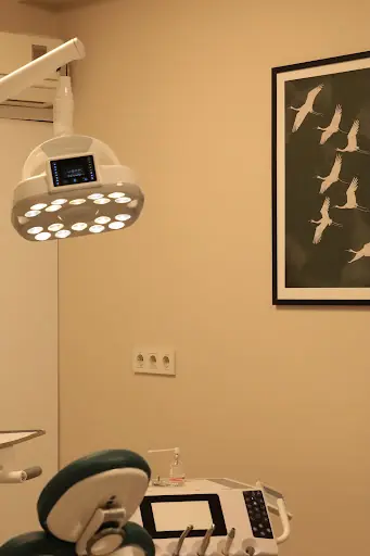 Fındıklı Derya Ağız ve Diş Sağlığı Kliniği – Güzellik Merkezi, İstanbul (3. fotoğraf)