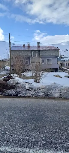 Görentaş 2