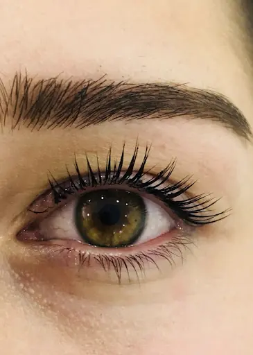 vega wellness beauty 2