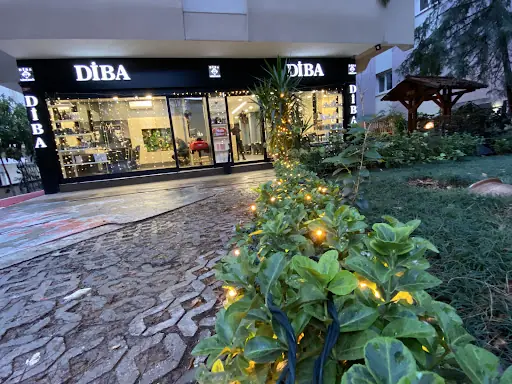 DİBA 3