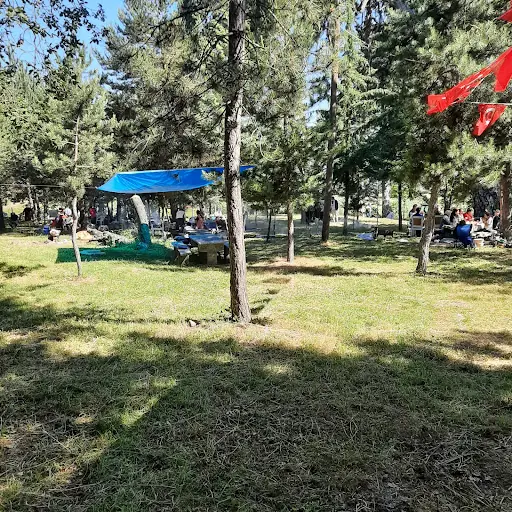 Dede Çam Türbesi