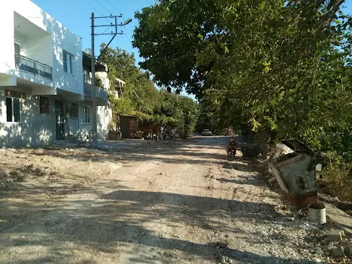 Ali Osman Sali Parki