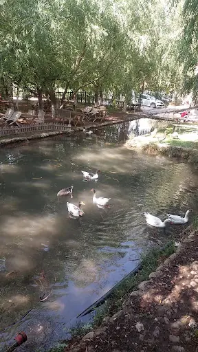Akpınar bungalov çamardı 3