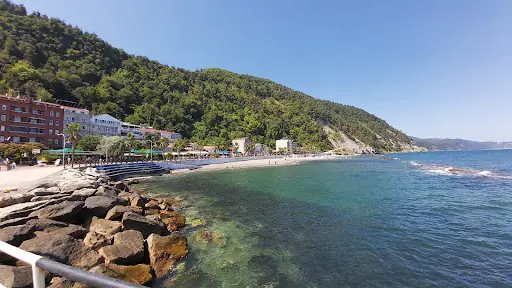 Ayancık Merkez
