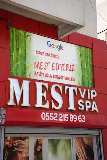 MEST SPA 2