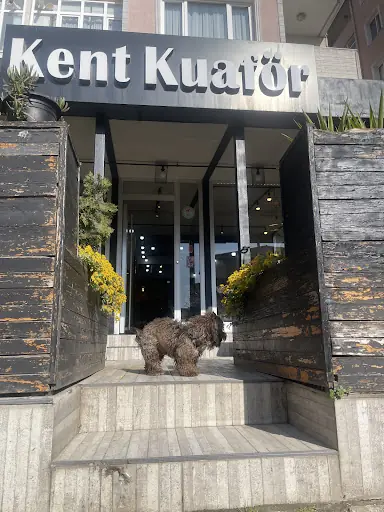 Kent Kuaför Fatih Kartal – Gelin Kuaförü, İstanbul (2. fotoğraf)