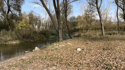 Topçam Koruma Alanı 2