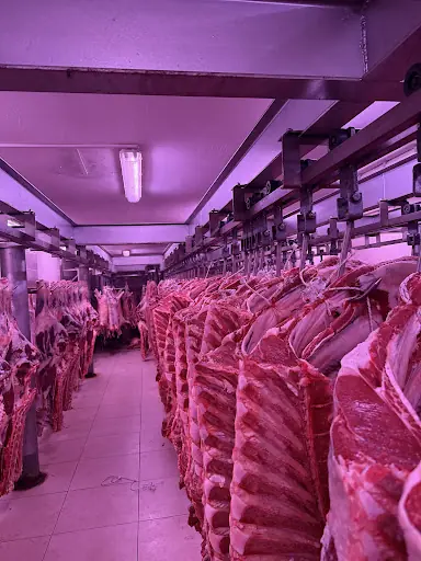 Kemaliye et Tavuk Ltd şti – Diğer (Güzellik), İstanbul (4. fotoğraf)