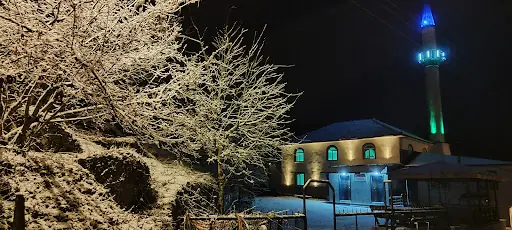 Yığılca 4