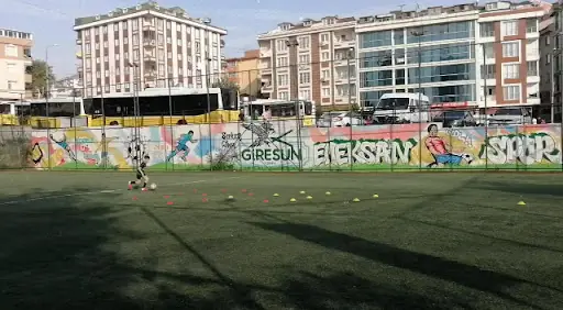 Giresun Emeksan Spor kulübü – Diğer (Güzellik), İstanbul (4. fotoğraf)
