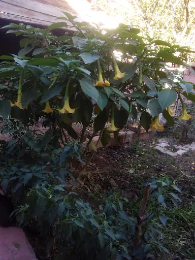 Savaş Dönmez Parkı 4