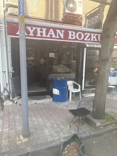 Ayhan Bozkurt 2