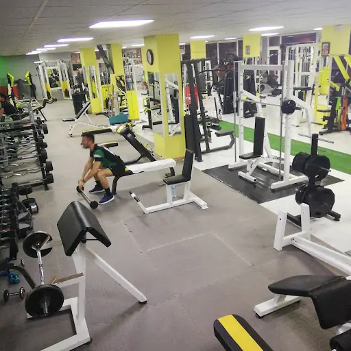 Free House Fitness