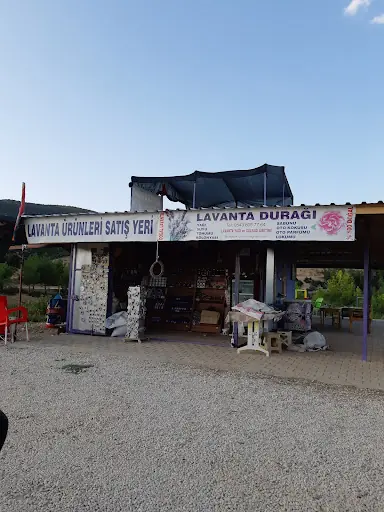 lavanta_duragi