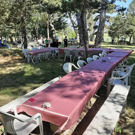 Dede Çam Türbesi 3