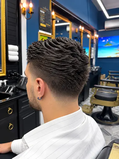 Süleyman Seven Premium 2
