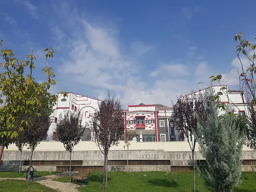 Lice Kaymakamlığı