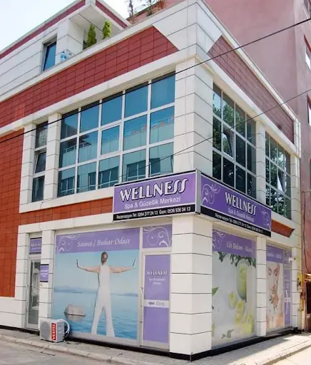 Ada Wellness 2
