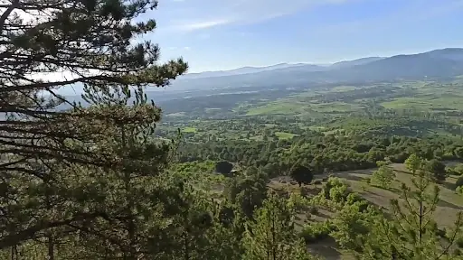 Topçam Koruma Alanı 3