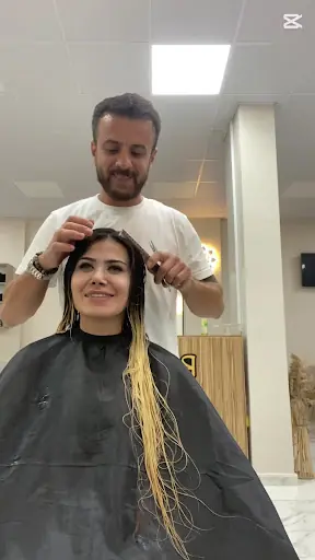 Butterfly Coiffeur 3