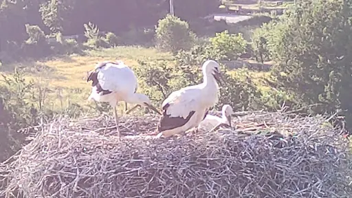 Leylekler vadisi 3