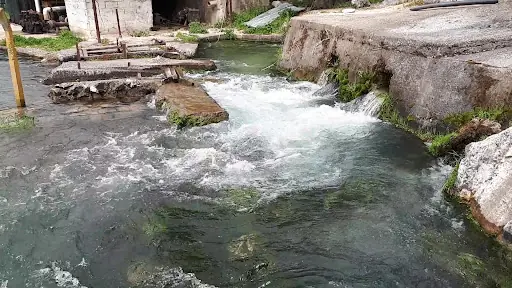 Gözde Balık 3