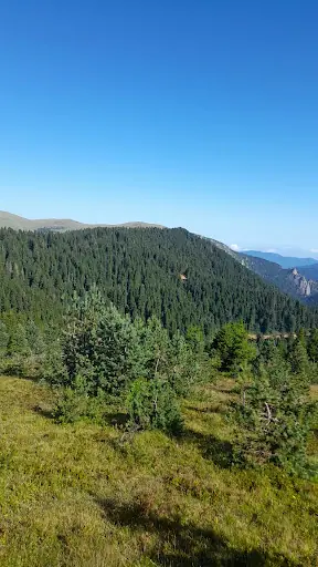 Dalıp Obası / Yağlıdere 3