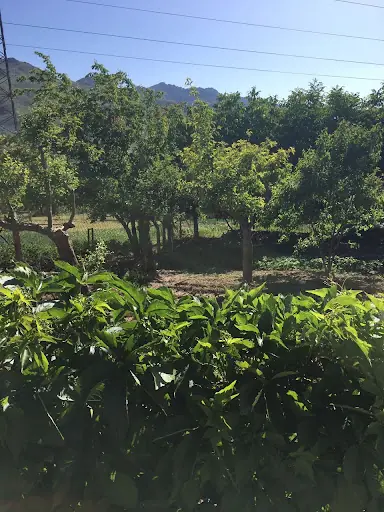 Barış Belediyesi Cemevi 4