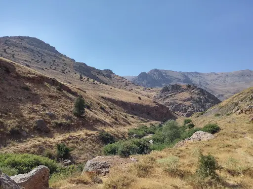 Hatıra Ormanı 2