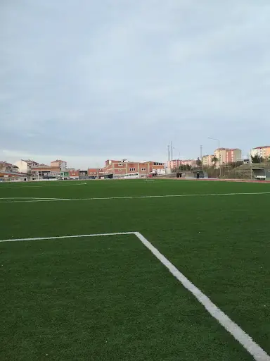 Türkeli Stadyumu