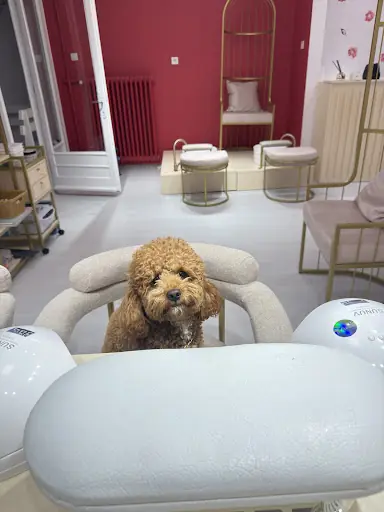Merve Altun Beauty – Gelin Kuaförü, İstanbul