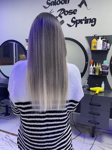 Saloon rose spring