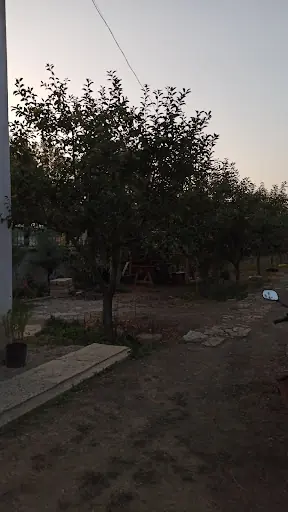Sulusaray Belediyesi 3