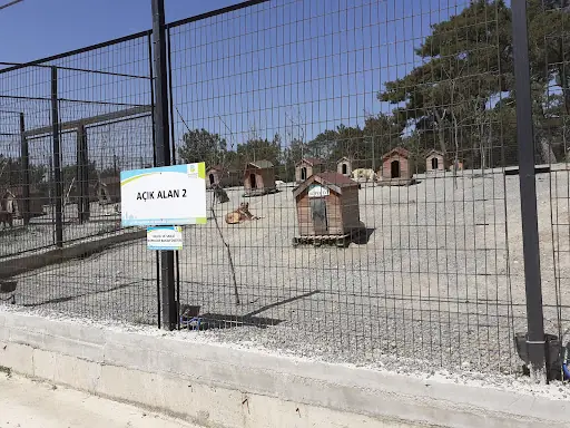 İvrindi Hayvan Barınağı 5