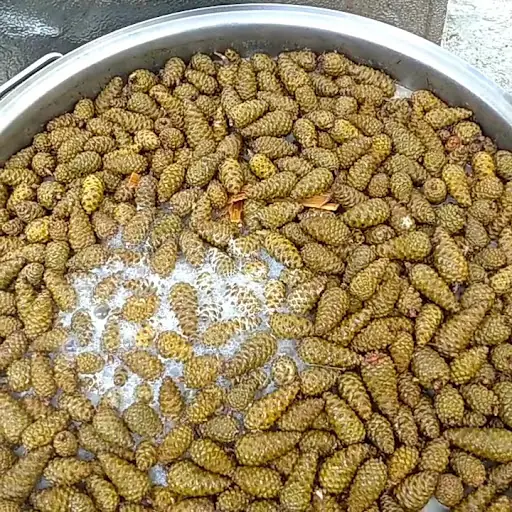 Çameli Kozalak Reçeli 3