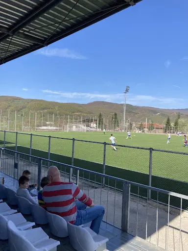 Kaynaşlı Stadı