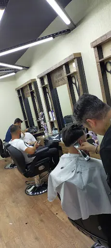 Hair mouse