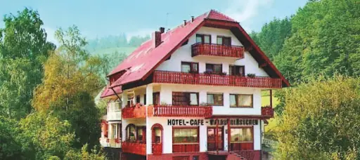 SCHWARZWALD PANORAMA 4