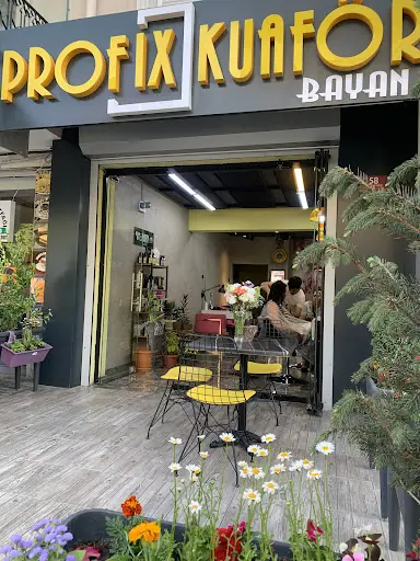 Profix Kuaför Bayan 2