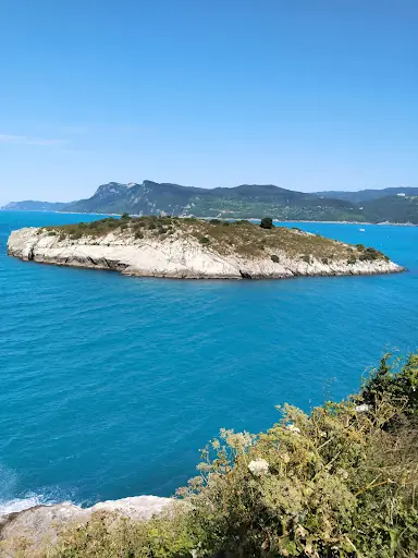 Amasra Merkez