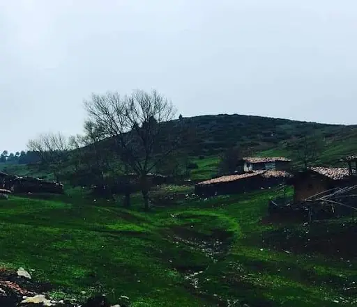 Alan köyü yeni yaylası