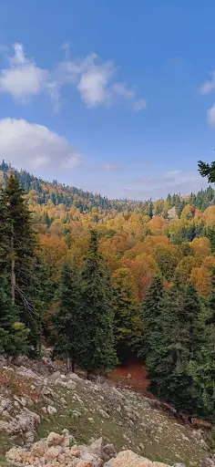 ÇİÇEKLİDERE TOKLU YAYLASI 4