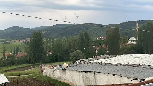 StudiOje