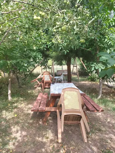 Saklı Bahçe 2
