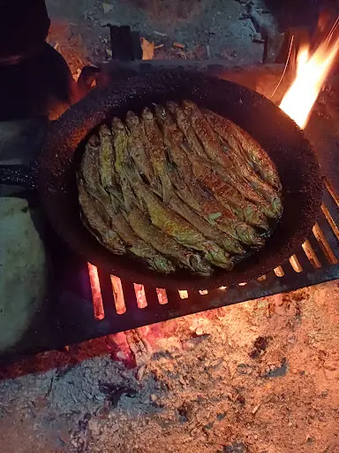 Gürkamp huzur