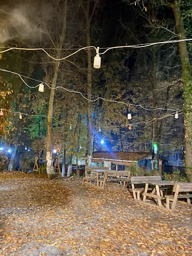 Hanımeli Mesire Alanı (Ömerli Park Orman ) – Diğer (Güzellik), İstanbul