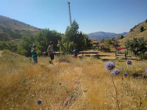 Hatıra Ormanı