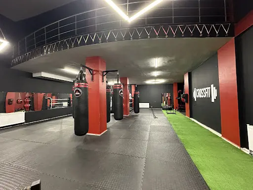 Edis Fıght Academy Spor Kulübü