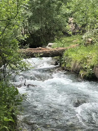 Ağaçdibi Şelalesi 2