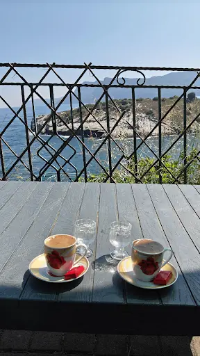 Ağlayan Ağaç Cafe 2